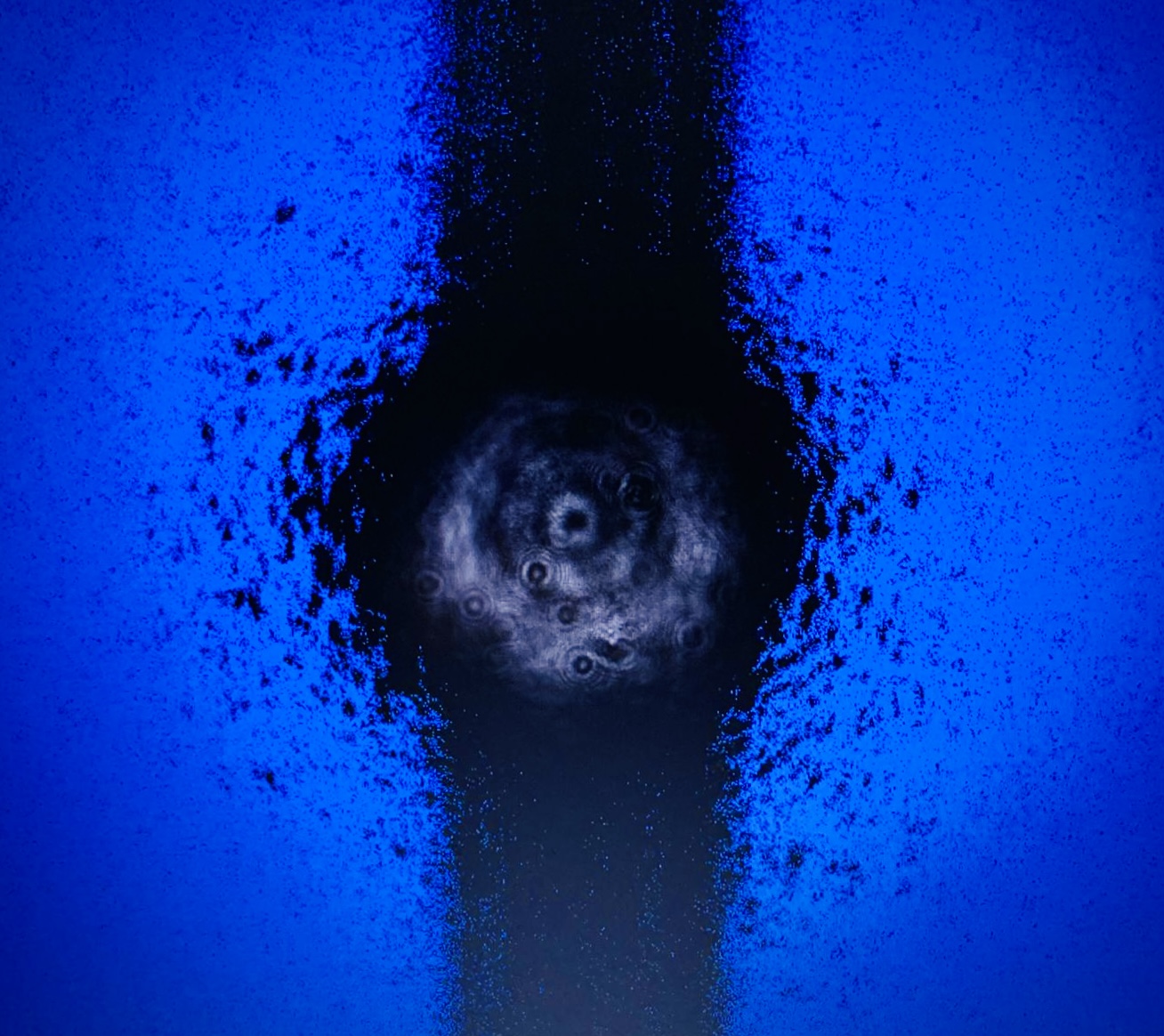Ganadores de la IX edición del Concurso de Fotografía del Laboratorio de Óptica